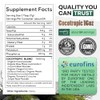 Wild Cocotropic - Elixir de champiñones con cacao, Reishi, extracto