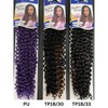 Freetress Braid Crochet Hair - Water Wave Bulk 22" -