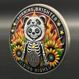 Leafence Sobriety Coin Panda Skeleton Design Sobriety Coin Recovery Addiction NA AA Chips and Medallions Challenge Coin Narcotics Alcoholics Anonymous Gifts (Panda Skeleton - Grey, 2 Years)