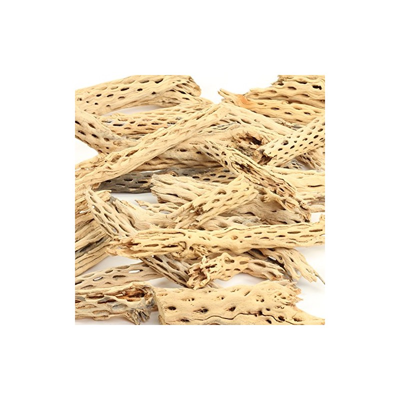Koyal Wholesale Natural Cholla Wood Aquarium Branches, Airplants Decor, Reptile