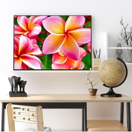 Diamond Art Painting Hawaiian Frangipani Hawaii Plumeria Blooming Flowers Kit for Adults Full Round Drill Diamond Art Painting by Number Kits Gem Art Wall Home Decor(11.8 x15.8inch)
