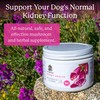 Dr. Harvey's Kidney Health Kidney Support Supplement for Dogs (4
