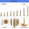 Screws Set, Wood Screws, Colour Zinc Screw Set Screws Assortment