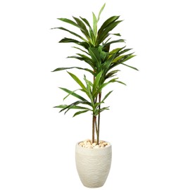 Nearly Natural 1 Dracaena Artificial Plant in Sand Colored Planter, 4'