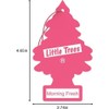LITTLE TREES Car Air Freshener | Hanging Paper Tree for