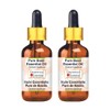 Greenwood Essential Pure Basil Essential Oil (Ocimum basilicum) with Glass