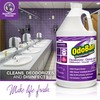 OdoBan Professional Disinfectant and Odor Eliminator Concentrate, Made in the