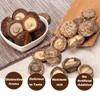 VIGOROUS MOUNTAINS Dried Shiitake Mushrooms for Cooking, 2-3CM Dehydrated Mushrooms,