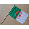 Algeria Large Hand Flag - Sleeved Polyester Flag on 2