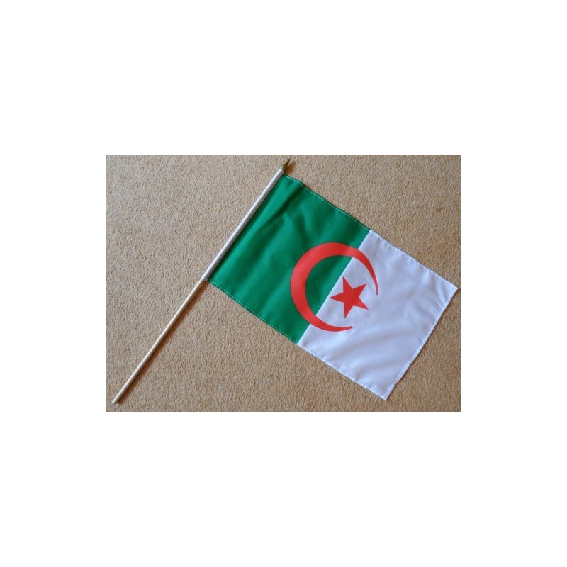 Algeria Large Hand Flag - Sleeved Polyester Flag on 2