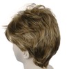 Lydell Short Straight Synthetic Hair Full Wigs with Bangs for