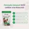 B-Pet Gastro Aid - Probióticos para Perro con Inulina