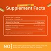 INVITA L-Methylfolate 15mg – Physician Formulated Active Methyl Folate -