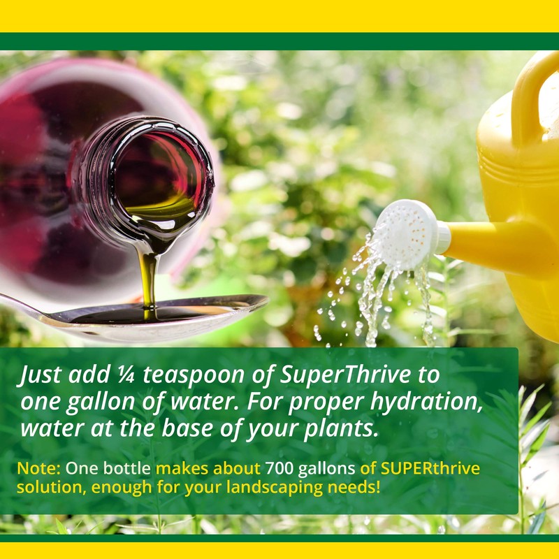 SUPERthrive SUPERthrive The Original Vitamin Solution with Kelp 1 Quart