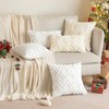MIULEE Cushion Cover, Plush Decorative Cushion, Set of 2 Cushion