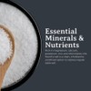 5 lb. Celtic French Sea Salt, Fine Ground & Mineral