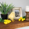 Northlight 5” Yellow Feather Easter Chick Figure