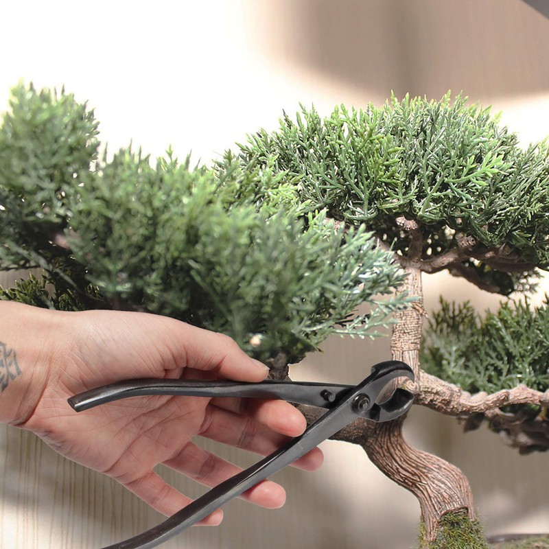 BambooMN Bonsai Tool Kit - 8" Concave Cutter & 8"