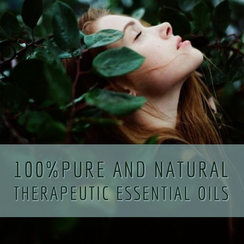 Greenwood Essential Oil Kit 100% Pure Natural Therapeutic Grade 15