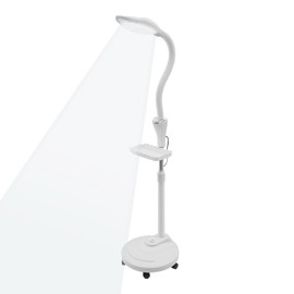 DDBESSIC Magnifying Glass with Light 16X, LED Floor Lamp with Tray and Wheels Height Angle Brightness Adjustable Rolling LED Magnifying Lamp Dentists Esthetician Light for Beauty Salons (with Wheels)