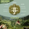BEMITON Remote Control Dinosaur Toy - Birthday Gifts for 4-7