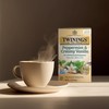 Twinings Peppermint & Creamy Vanilla Tea - A Crisp, Balanced