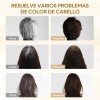 Kaisasa Shampoo Con Tinte Cubre Canas Natural Jengibre
