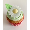 12 Gorgeous Mixed Colour Edible Wafer Daisies & 12 Pretty