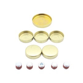 DNJ FPS4137 Kit de Tapones de Expansion Compatible con Ford Aerostar 1991-2008 3.0L V6 OHV 12V 182cid