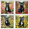 Black Staffy Coaster Set. 4 different Staffordshire Bull Terrier Dog