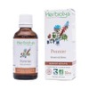 Herbiolys - Organic Apple Bud Macerate | Organic Gemmotherapy |
