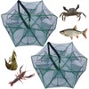 Minnow Trap or Fish Trap Foldable Bait Cage for Crab
