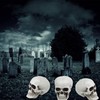 YumSur 10 Pieces Resin Skull Small Realistic Human Skull Replica