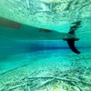 Glory Boards Premium SUP Fin for Stand Up Paddle Boards