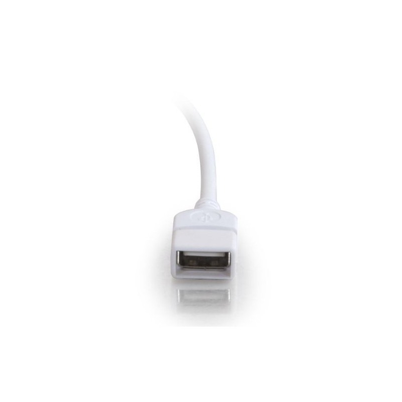9.8ft (3m) USB 2.0 A Male to A Female Extension