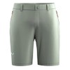 Salewa Puez Talveno DST Men's Shorts M