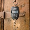 LEM 660lb Digital Hanging Scale