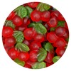 The Hampton Candy Company Gummy Cherries, 1lb Bulk Bag, Gummy