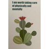 Shine Your Light Affirmation Cards for Teens, 25 Affirmations w/