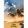 Wolf Birthday Card