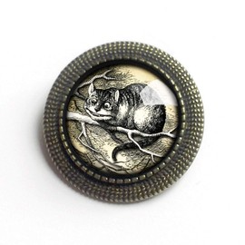 Alice In Wonderland Cheshire Cat Reverse Decoupage Glass And Brass Brooch