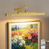 TANBABY Rechargeable Picture Light for Wall, Motion Sensor, Gold, 1