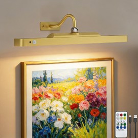 TANBABY Rechargeable Picture Light for Wall, Motion Sensor, Gold, 1 Pack