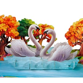 CUTPOPUP Swan Couple - 3D Valentines Card, Valentines Card for Husband, Anniversary Card, Pop Up Cards, Greeting Romantic Love Card for Him Her Wife Husband Couple Parent (Swan) US8-LO173UK
