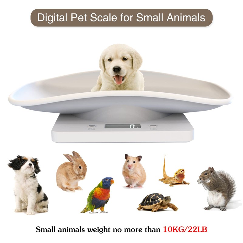 Multi-Function Digital Pet Scale for Small Dog Cat and Animals,Large