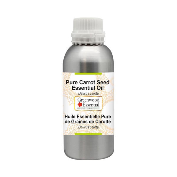 Greenwood Essential Pure Carrot Seeds Essential Oil (Daucus Carota) Natural Therapeutic Grade Steam Distilled 300 ml (10 oz)