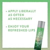 Little Moon Essentials Lip Balm (Spearmint Crème, 3 Pack)