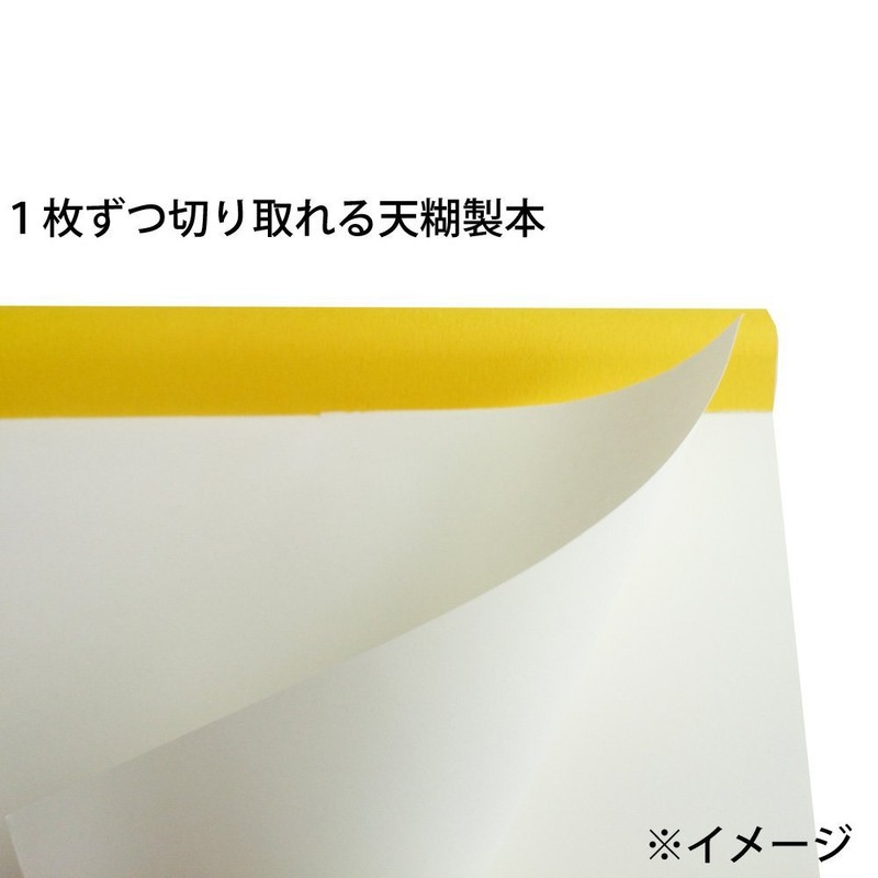 Maruman Sketchbook Soho Series B5 100 Sheets SOHO501