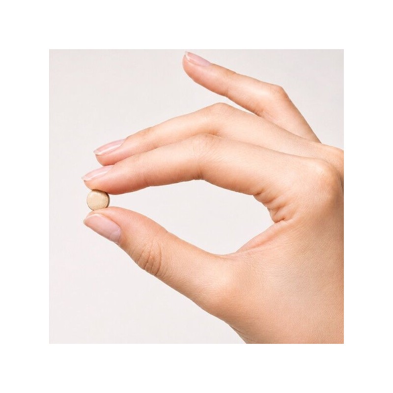 Vitamin Village [Vitamin Village] Milk Thistle Compact Max 30 tablets