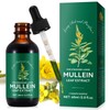 Mullein Extract - 60 ml Mullein Leaf Drops - Mullein